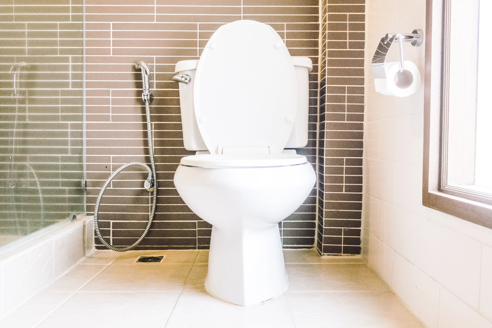 miska wc
